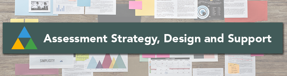 Assessment Strategy, Design and Support