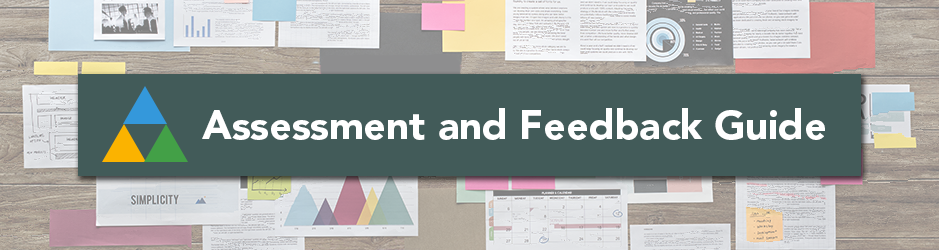 Assessment and Feedback Guide
